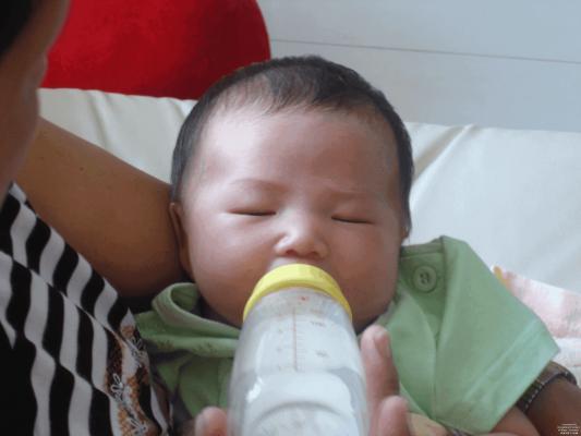 鲸鱼是哺乳动物怎么在水下呼吸,鲸鱼海洋哺乳动物