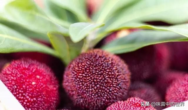 浙江台州有什么特产,中国浙江特产