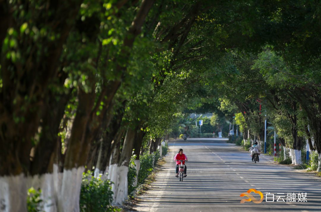 走在乡间小路观赏田园风光体验,看田园风景品乡间生活尝农家美食