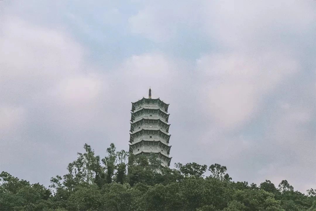 深圳好玩的地方推荐地铁4号线,深圳4号线值得玩的地方