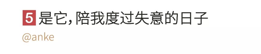 “我，21岁单身男，靠300个娃娃续命”：那些你无法想象的爱