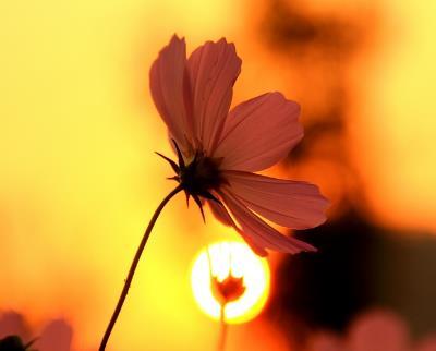 和小人纠缠,和小人一起纠缠你就输了