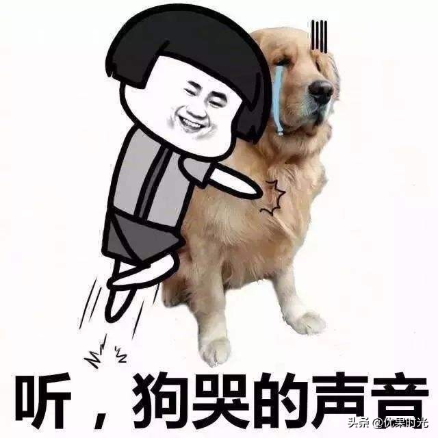 本州6日游,日本7天6晚本州之行