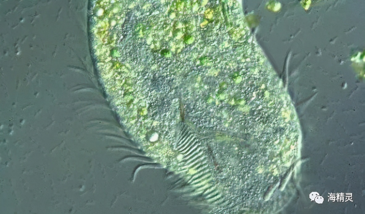 怎么才能从众人中脱颖而出,如何让自己从人群中脱颖而出