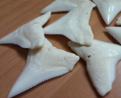 最值得入手的冷门文玩,那些冷门有趣的文玩