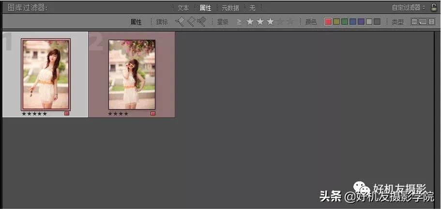 如何管理照片的技巧,照片太多了用什么软件整理