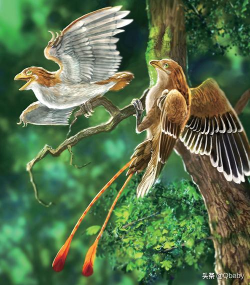 恐龙大百科恐龙探秘,恐龙探秘恐龙化石