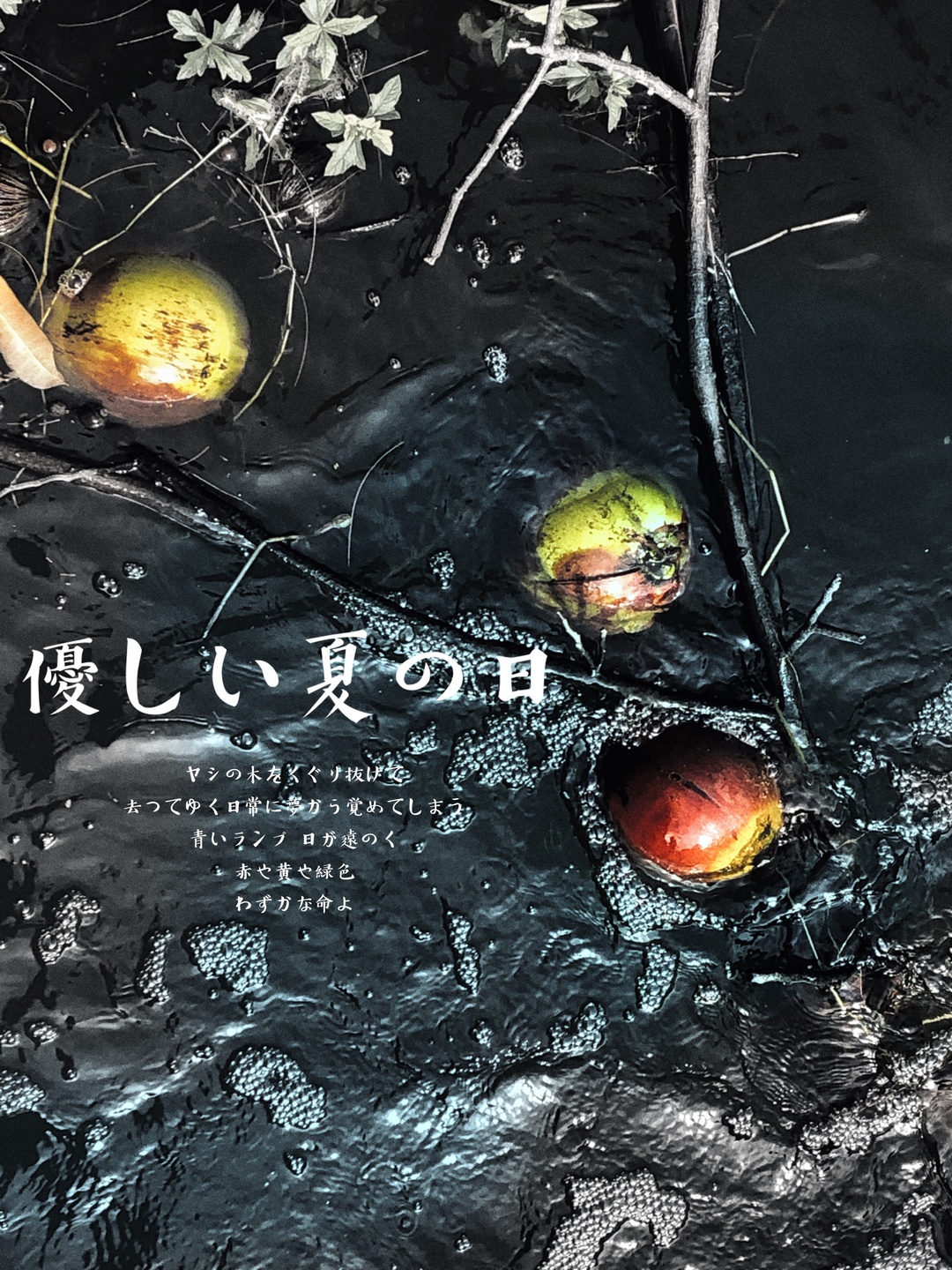 普吉岛夜晚攻略,普吉岛值得去的地方