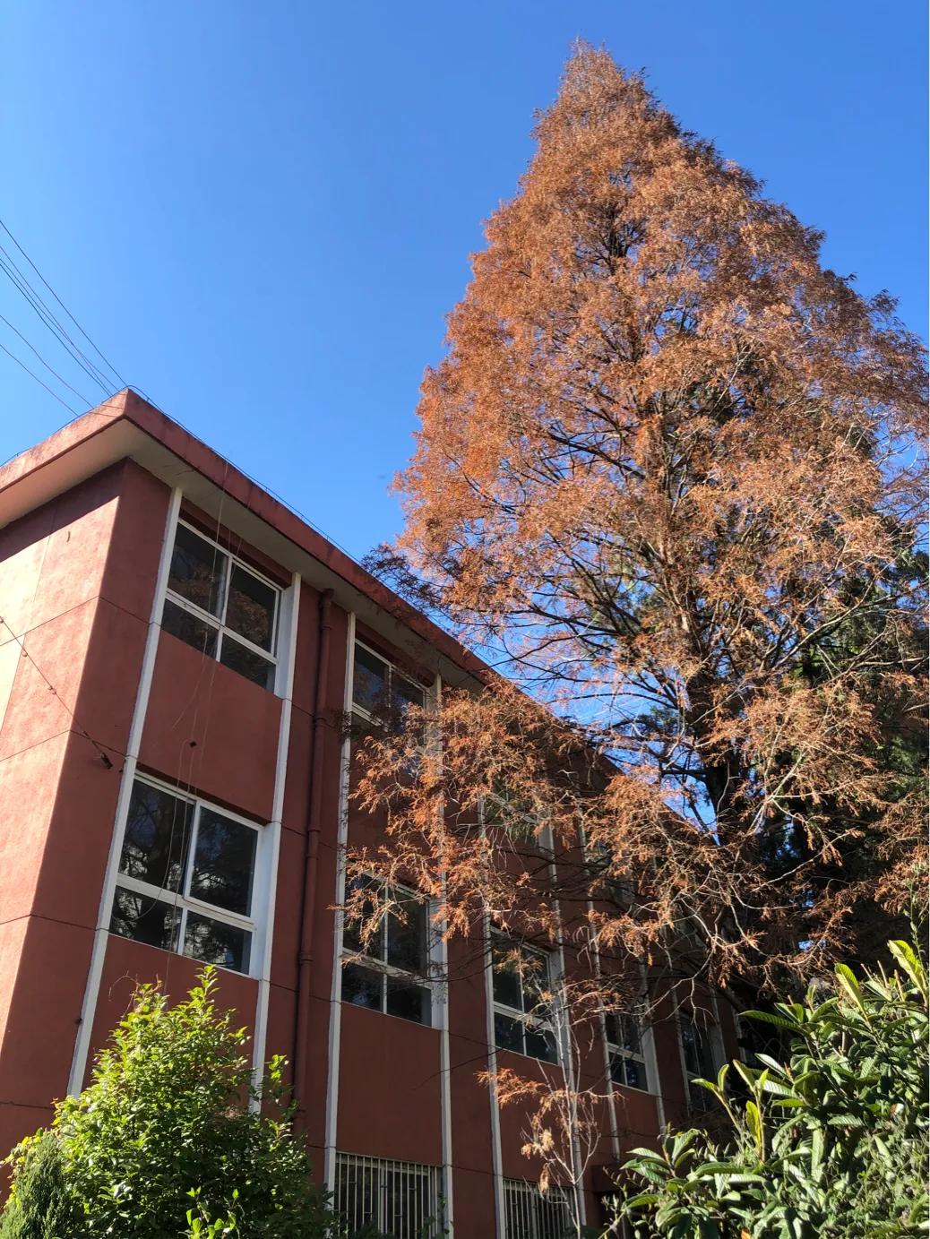 不应该消失京剧完整版,昆四中西山学校