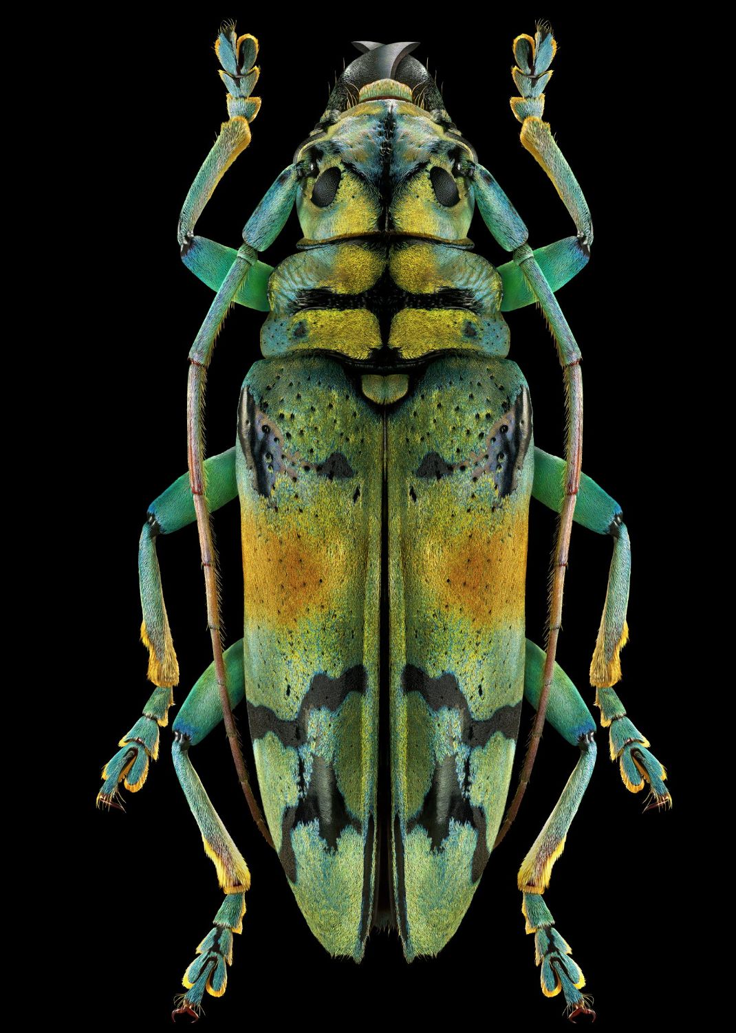 2亿像素和4800万像素的画质哪个好,像素高就一定好吗