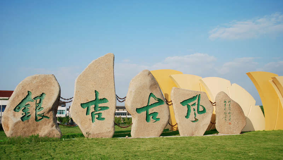 泰兴比较大的镇有哪些,江苏泰兴最大的银杏树