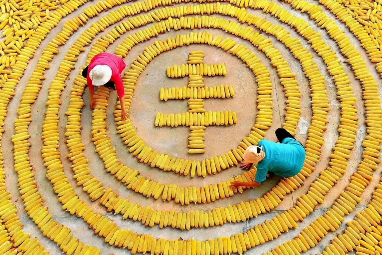 16年前，西方集体做空中国粮食，如果没有袁隆平，我们早就输了