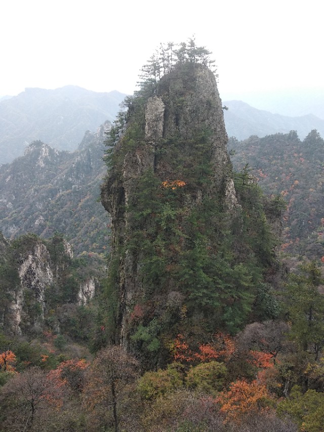 老村长可以兑什么喝,老村长喝什么