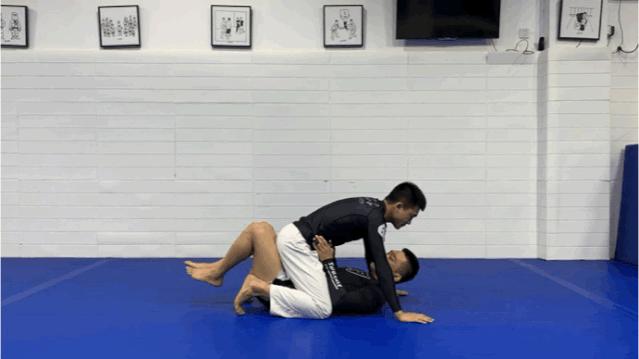 格斗运动员SC训练计划（巴西柔术篇）