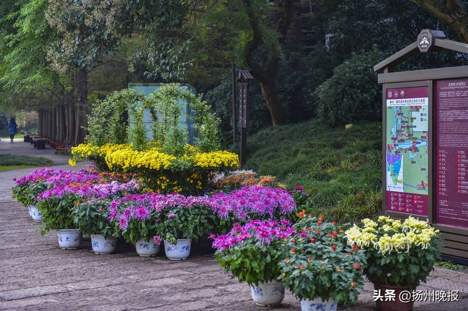 2018年冬天扬州赏花攻略,扬州11月秋景打卡地