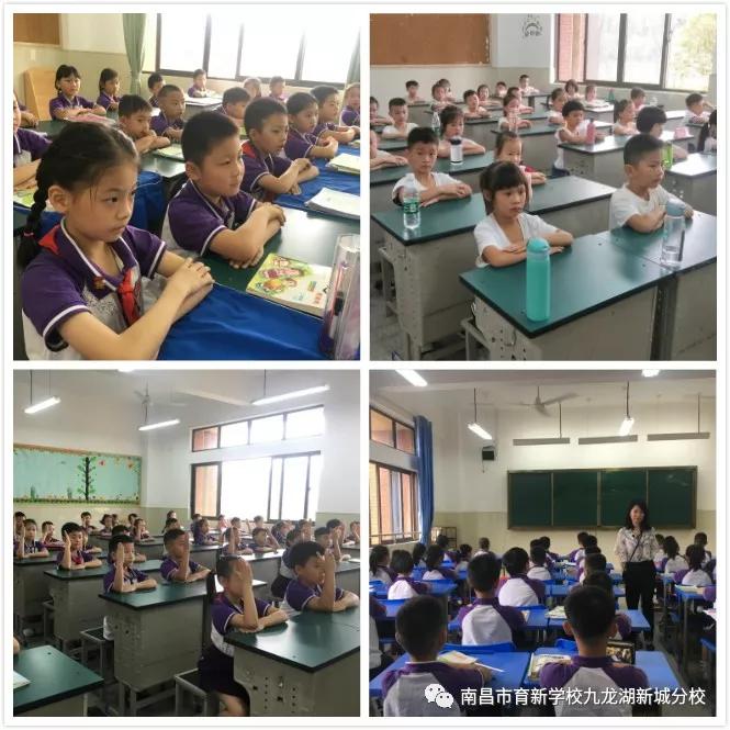 南昌育新学校九龙湖分校有小学吗,南昌育新学校九龙湖新城分校