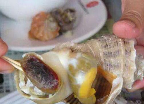 海螺吃生蚝事件,吃20斤大海螺