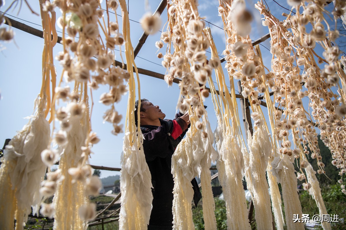 56岁搬运工,农村小伙土特产搬运工