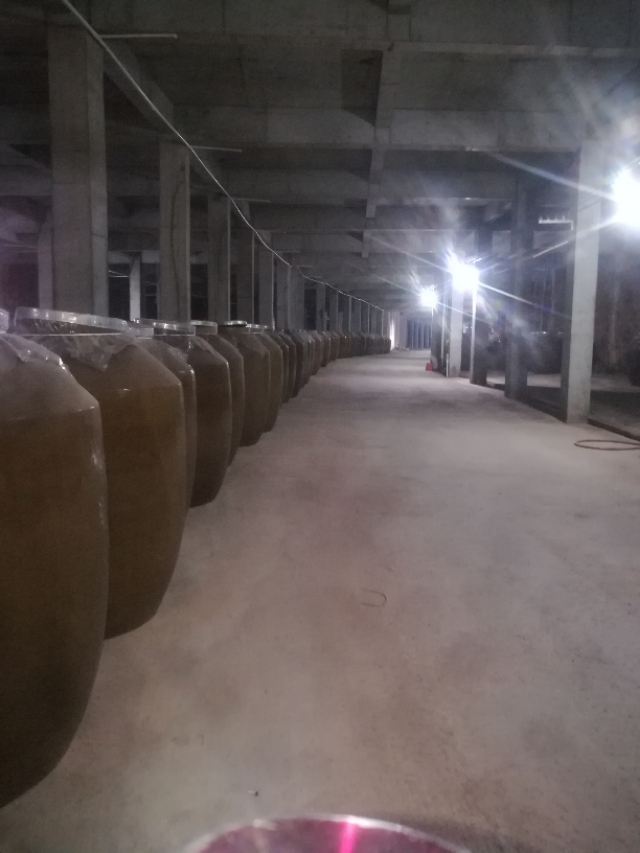 目前最先进的小型全自动酿酒设备,广西全自动酿酒设备哪家好