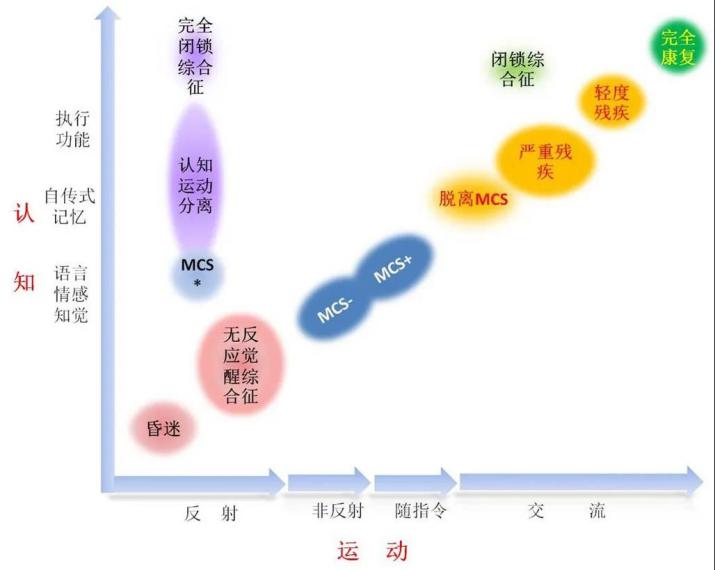 伟大的发现完整版,伟大的发现系列图书