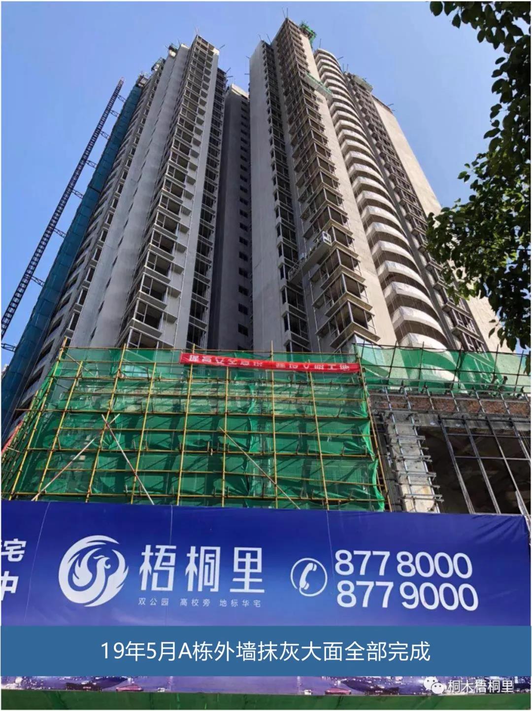 火凤凰浴火中如何重生,看浴火重生的凤凰