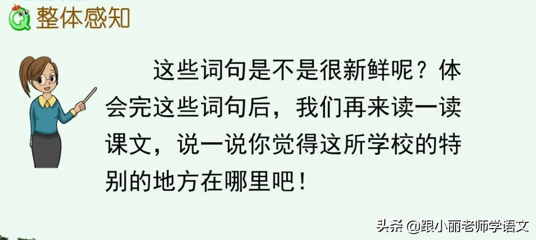 大青树下的小学重要背诵内容,大青树下的小学必会知识点