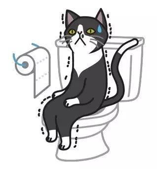 坐火车手机掉厕所掉轨道上会赔吗,手机掉到火车厕所里了怎么办