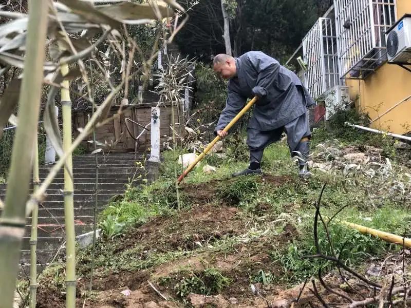 抢抓农时开展农业生产,农民纷纷抢抓春耕生产有利时机