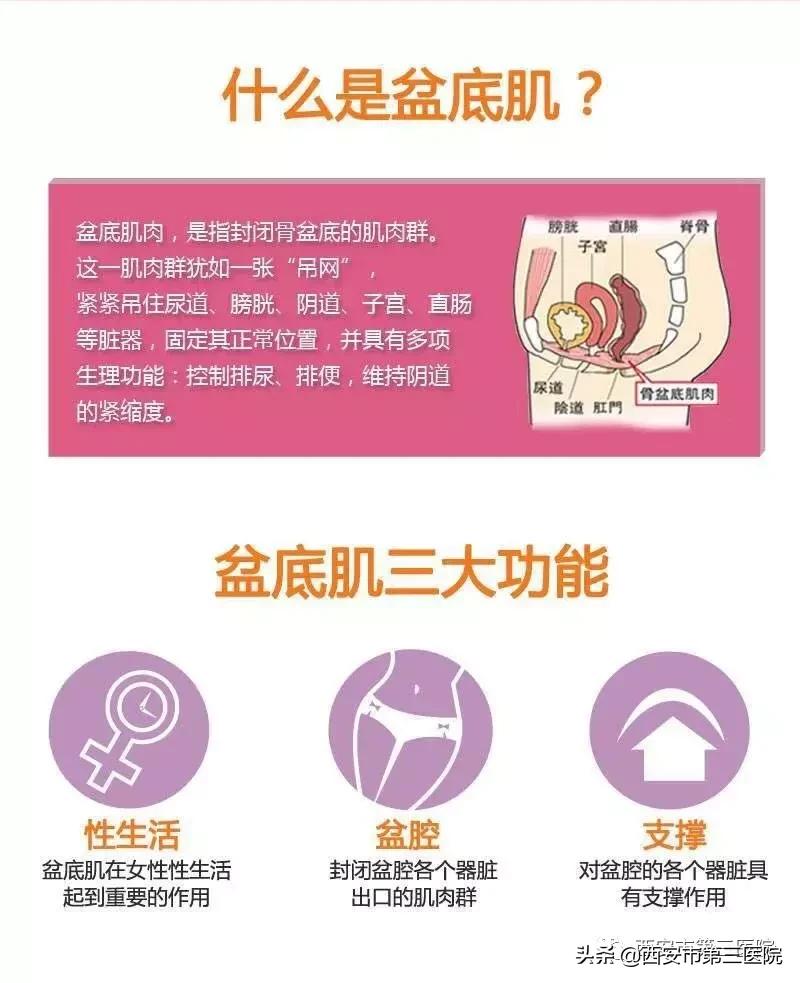 【盆底功能康复治疗】关爱女性盆底健康远离女性“社交癌”