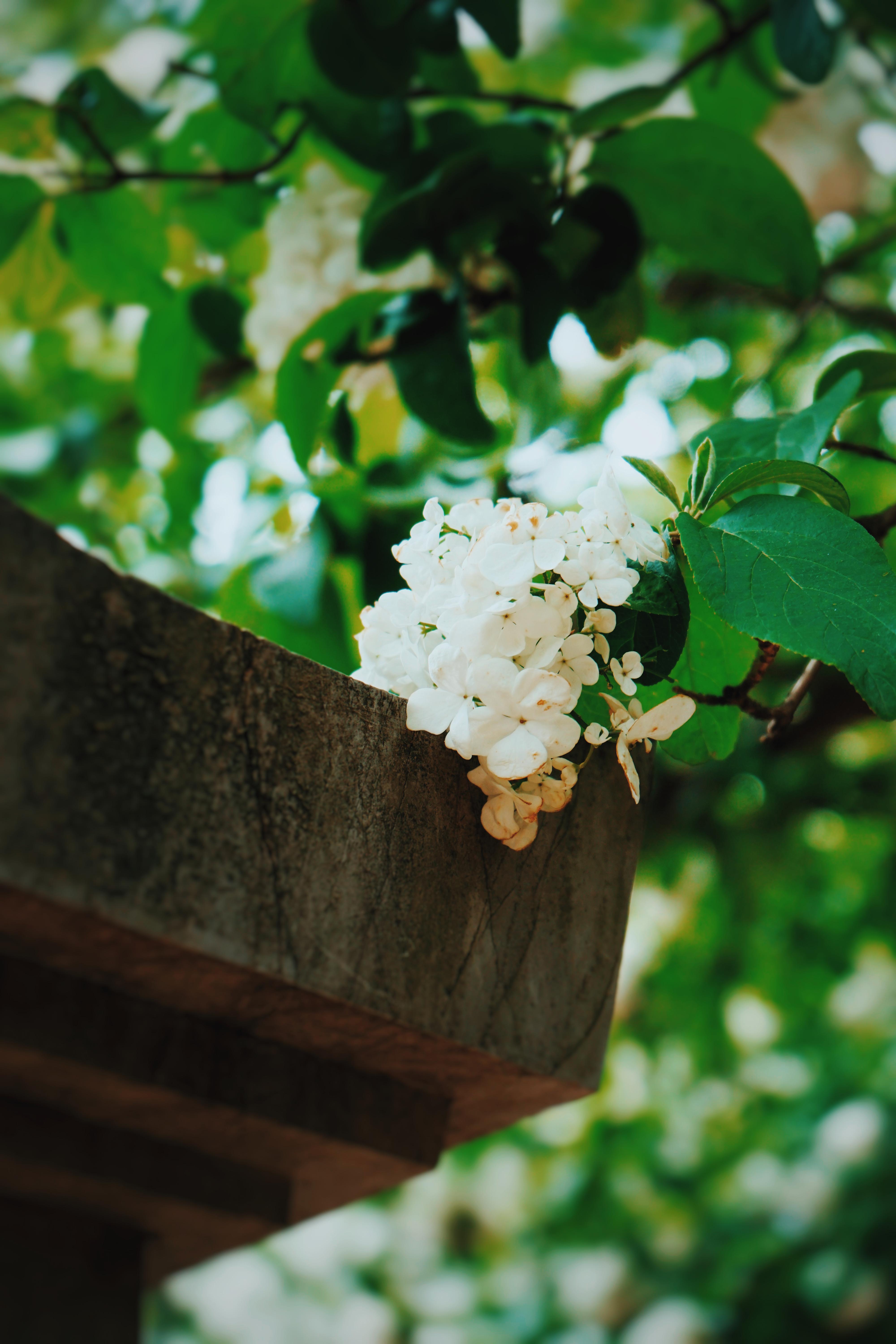 森林公园清凉山,清凉山一道美丽的风景线
