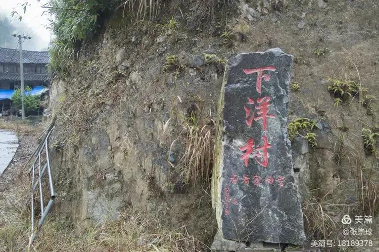 泰顺葛洋陶氏三兄弟修建的三条古道，等你来打卡～