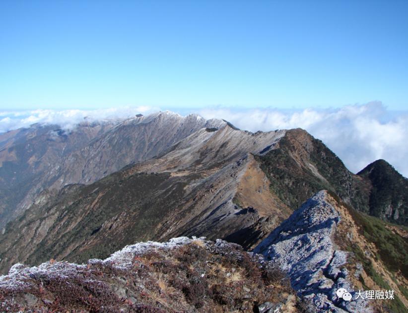 大理洱海流域农业产业发展,大理洱海流域农业产业转型