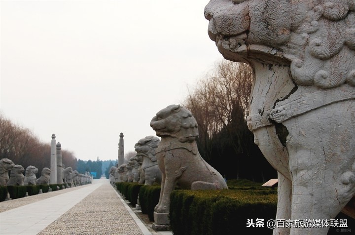 明皇陵里的麒麟的粗细,明皇陵麒麟