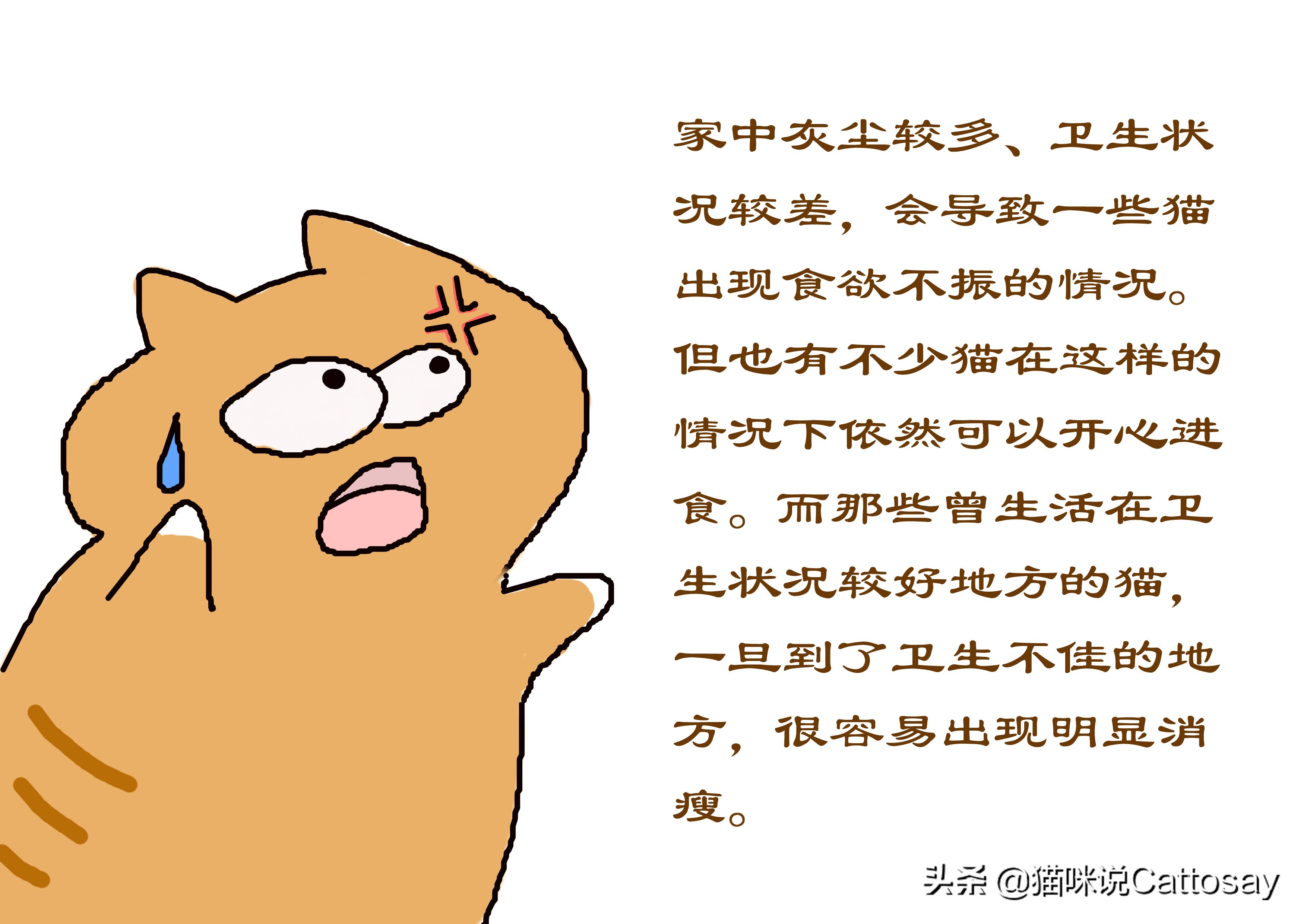 猫过度摄入维生素b会怎样,猫生病后怎么通过饮食给他补营养