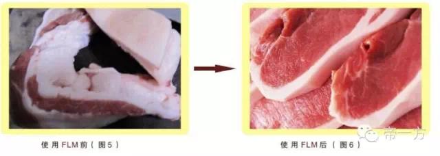 猪催肥产品,催肥剂增肥