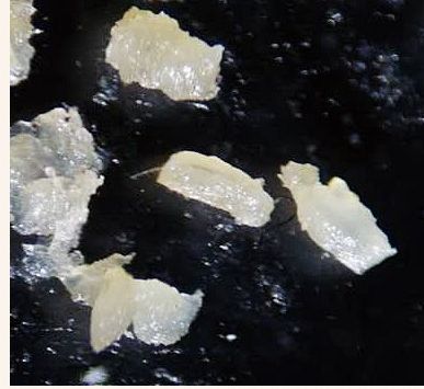 去黑头不踩坑,去黑头正确操作