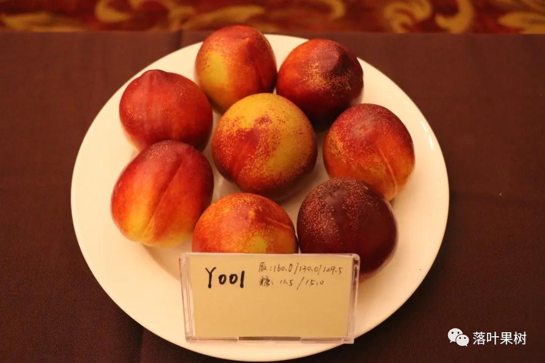 中国桃产业转型升级,桃产业转型升级的思考