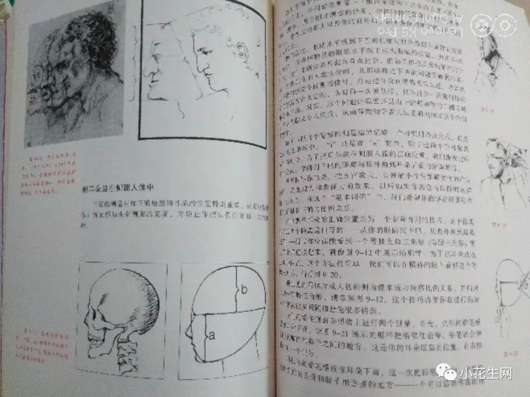 学画四年级上册美术,从零开始学绘画必备的画
