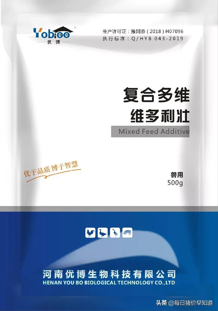 猪病关节炎怎么引起的,猪关节炎链球菌怎么预防