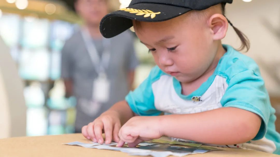 七色花绘本故事带图简短,彩虹色的花绘本故事告诉我们