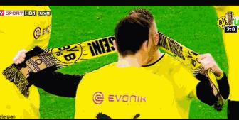 马尔科罗伊斯又白又粉,马尔科罗伊斯捧杯