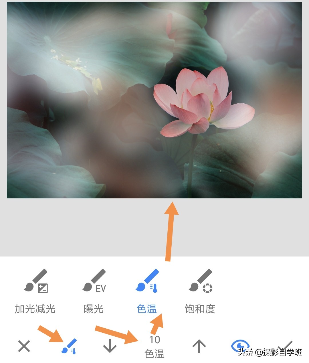 雾里看花怎么拍,雾景的拍摄技巧拍出雾气朦胧大片