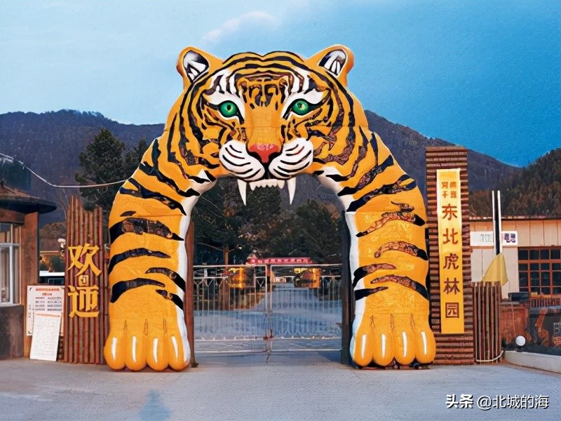 黑龙江有哪些世界之最,黑龙江有什么是排第一的