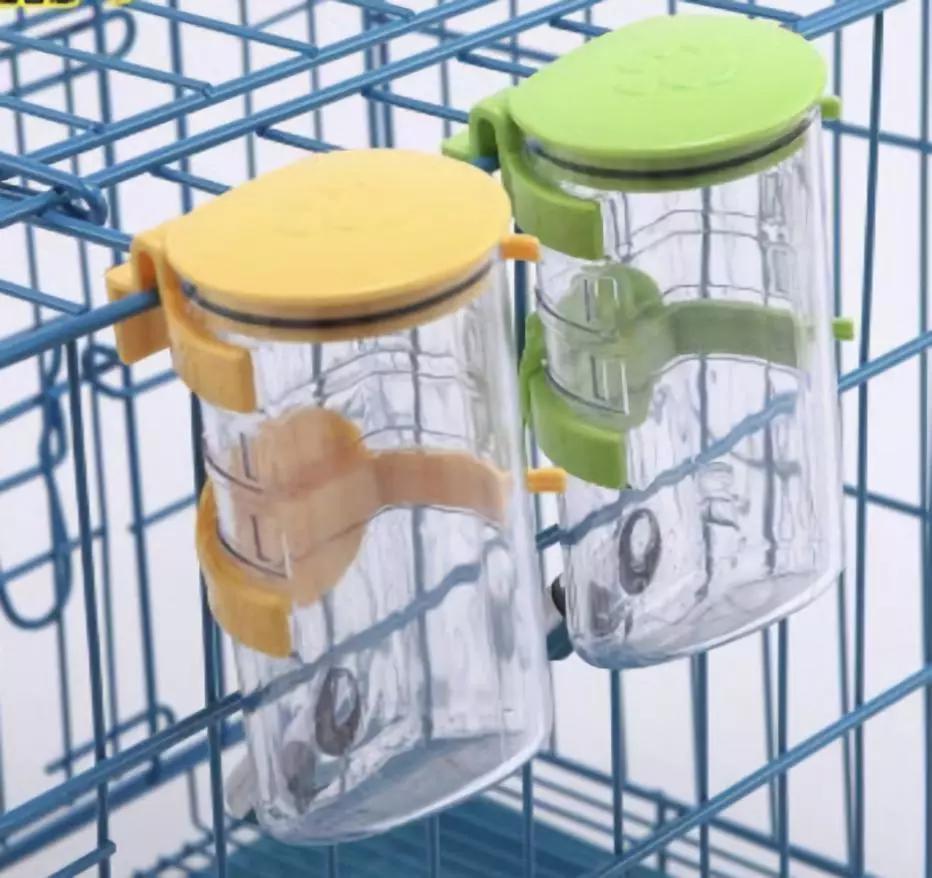 带狗狗移民,怎样带自家狗狗去国外