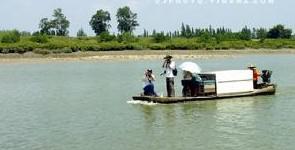 我的家乡廉江市安铺镇,我的家乡粤西廉江安铺镇