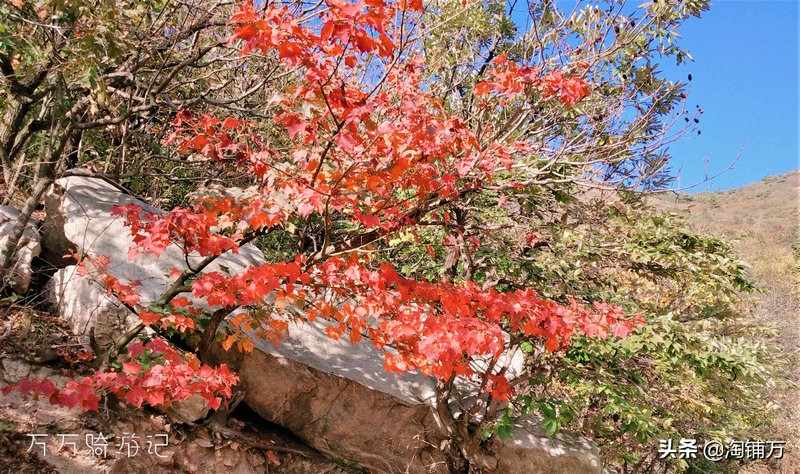 趁青春多折腾,趁着年轻四处游一游