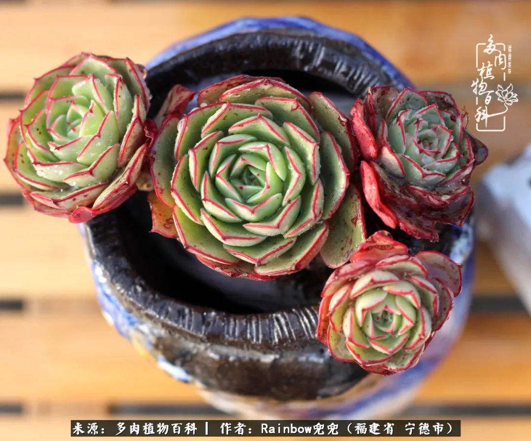 岁月无波澜余生不悲欢是啥意思,愿你岁月无波澜敬我余生无悲欢