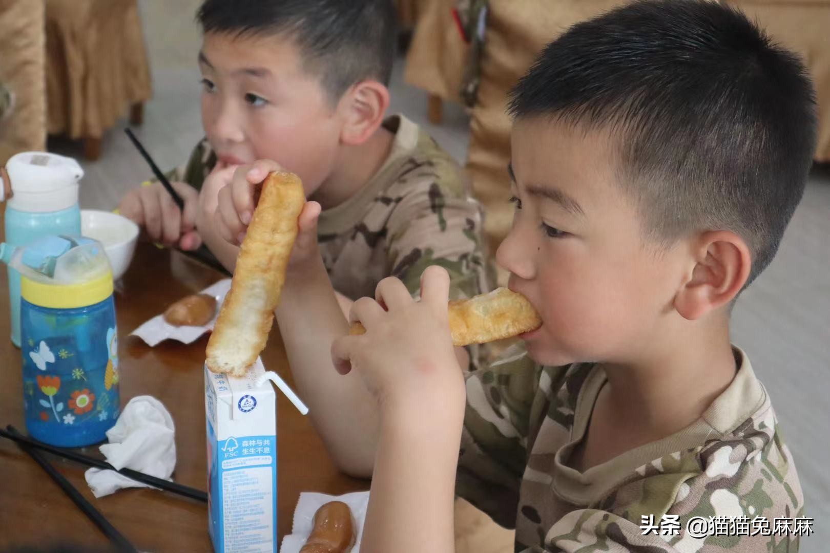 日本夏令营真相揭秘,中日夏令营的较量是如何出炉的