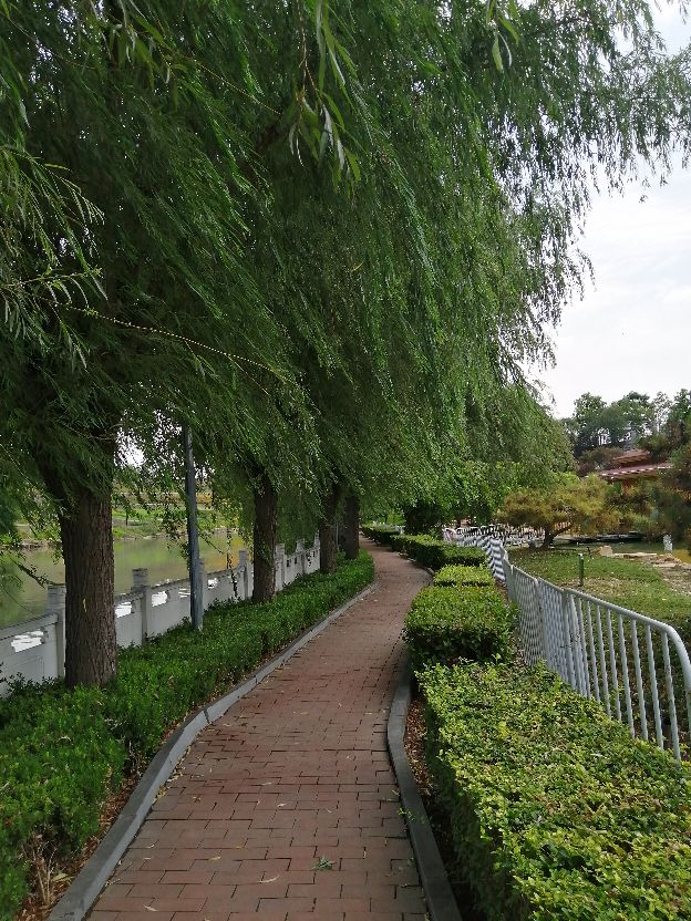 出门在外手机没话费怎么办,出门在外手机没电身上也没钱