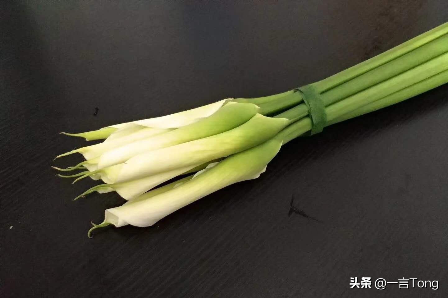 高贵雅致马蹄莲,高贵优雅马蹄莲永生花